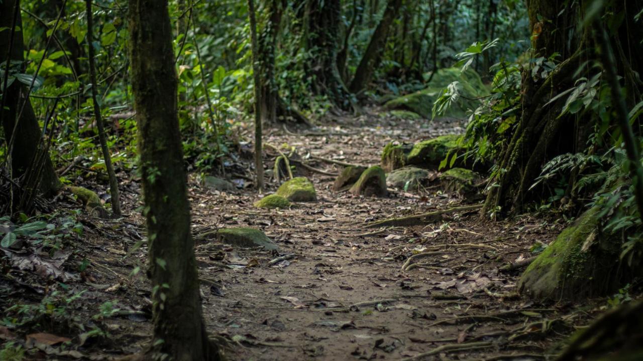 Hotel Rancho Cerro Azul La Fortuna Exteriör bild